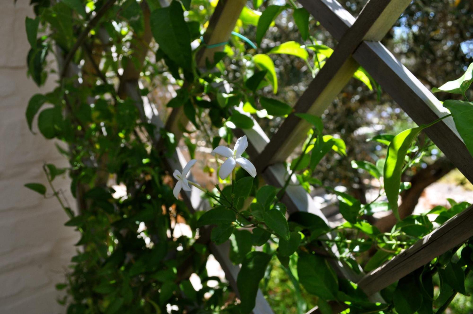 Гостьовий будинок To The Garden Angairia Екстер'єр фото